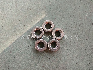 317L不銹鋼螺母
